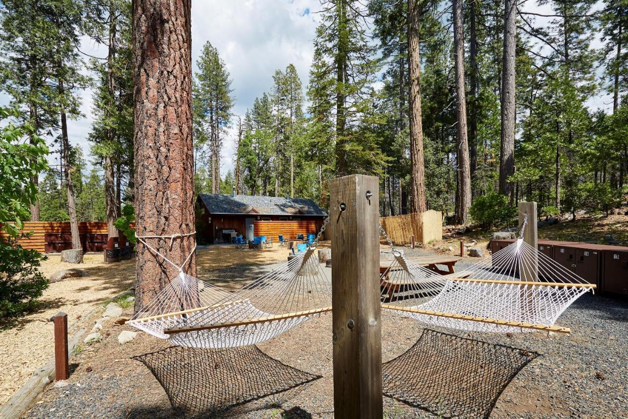 Evergreen At Yosemite Lodge