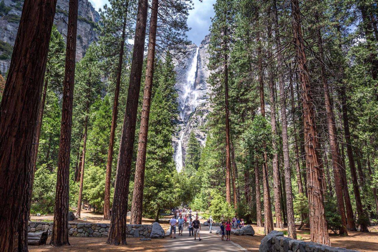 Evergreen At Yosemite