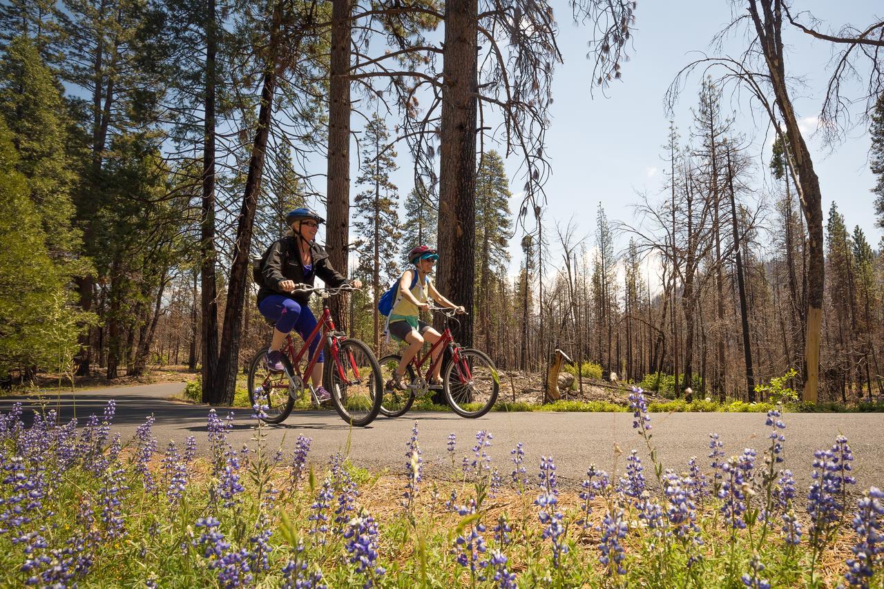 Lodge Evergreen At Yosemite Groveland