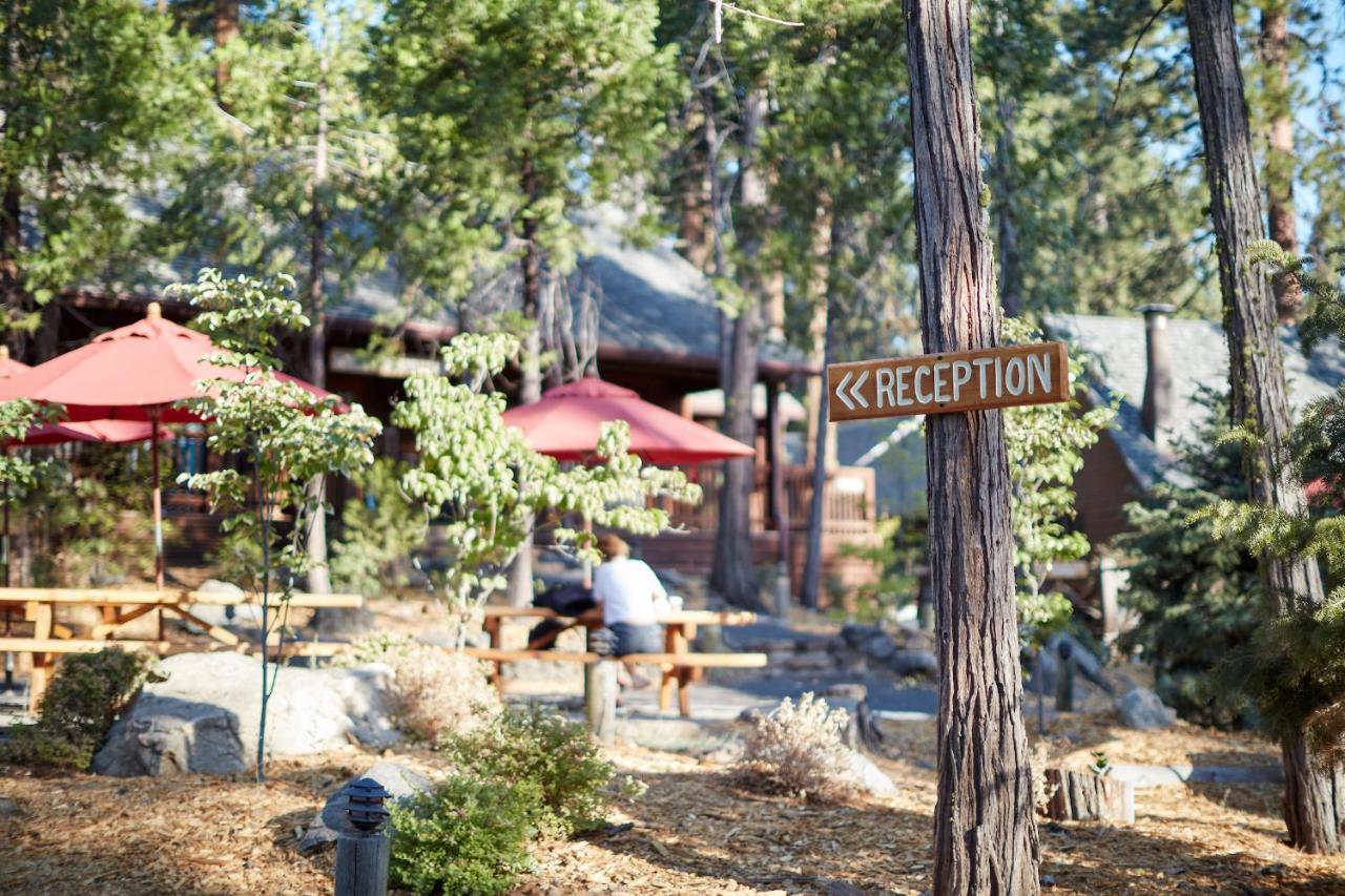 Evergreen At Yosemite Lodge