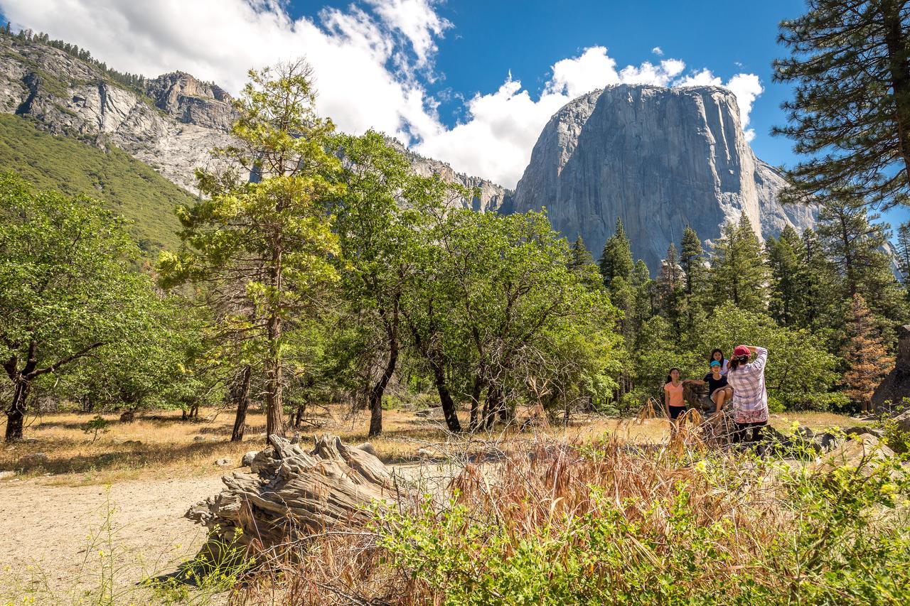 Evergreen At Yosemite * Groveland